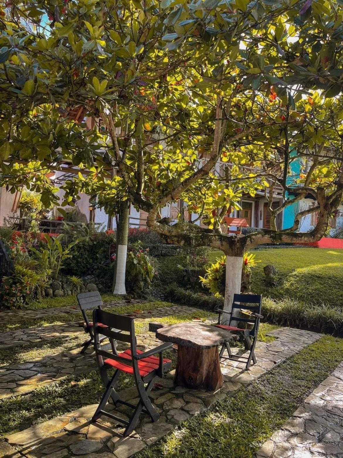 Finca Hotel Palmas Frente A Panaca Quimbaya Exterior photo